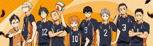 Haikyuu banner